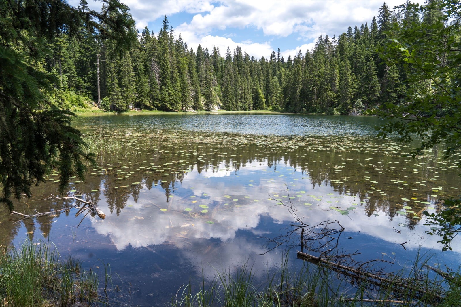 3 Lakes Tour — ATV ruta u Sjeverna Crna Gora